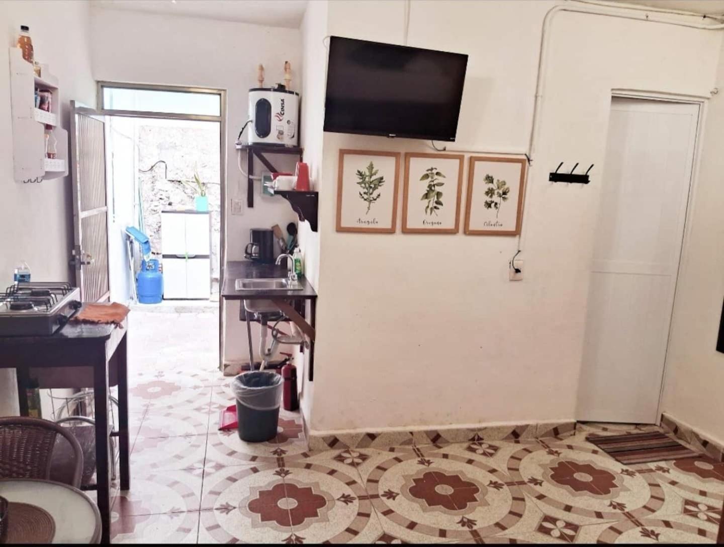 Cozy Studio Wkitchen Isla Mujeres Punta Norte Exterior photo
